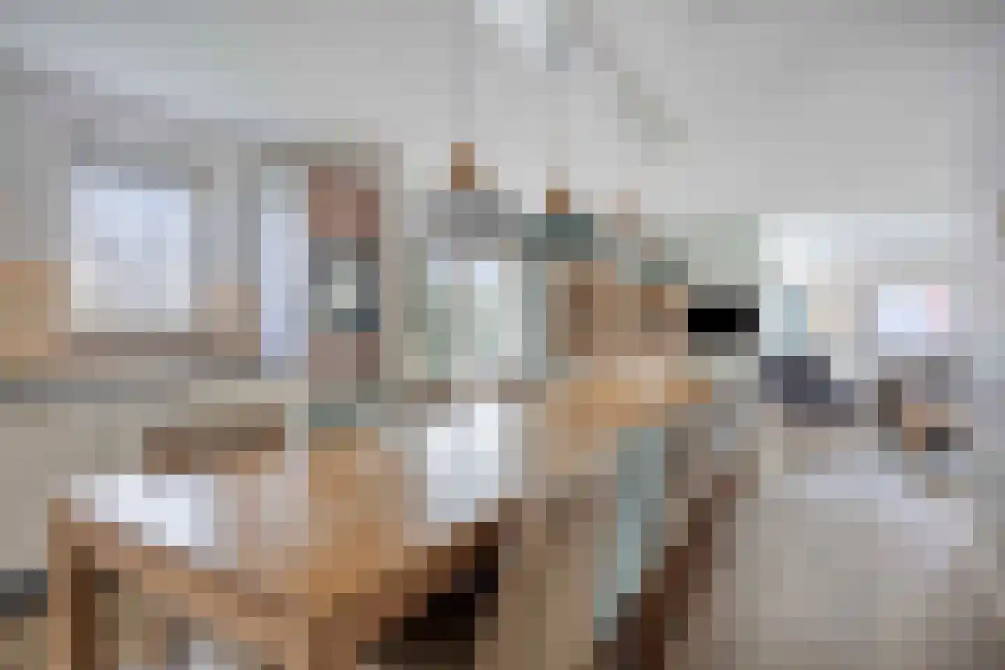 Daleboutsweg 4 0142 Burgh-Haamstede thumbnail 9