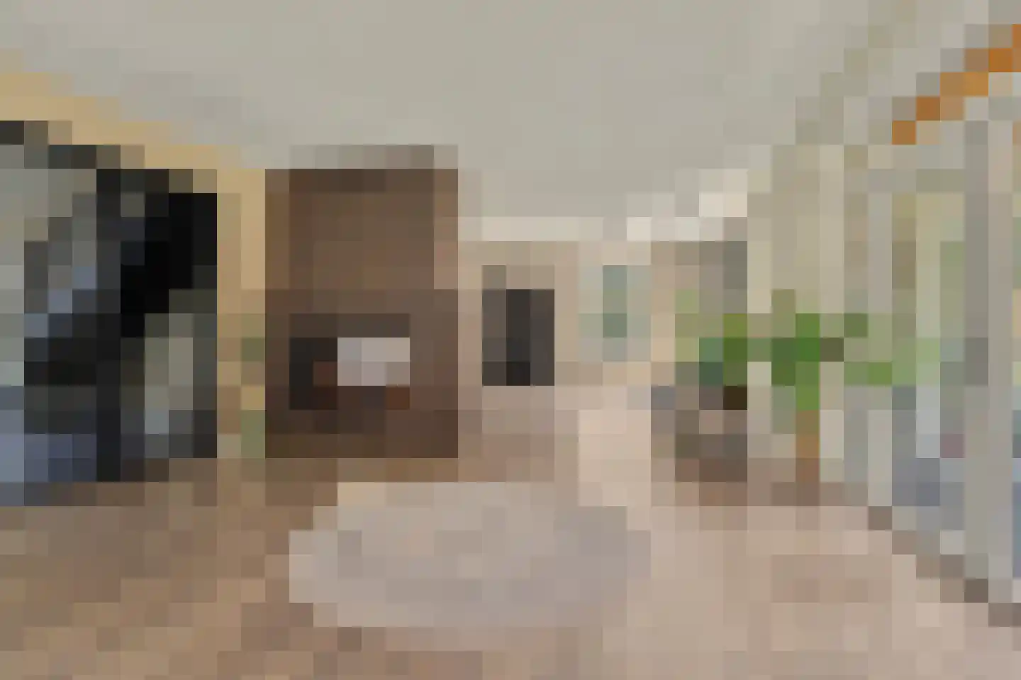 Dalem 2 A Hapert thumbnail 12