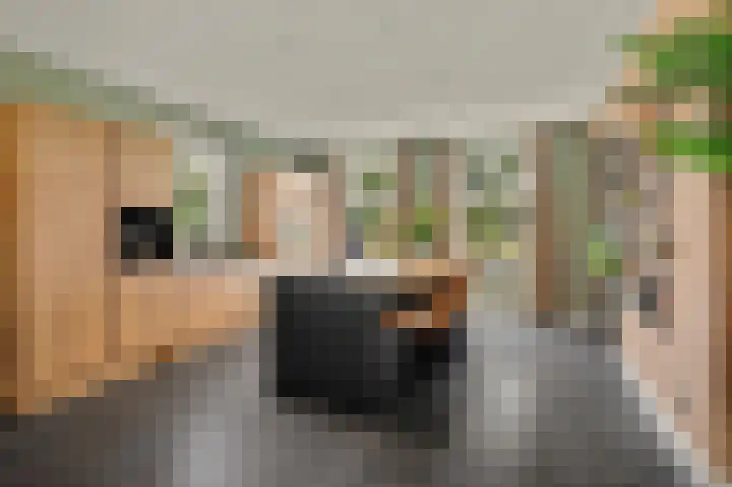 Dalem 2 A Hapert thumbnail 16