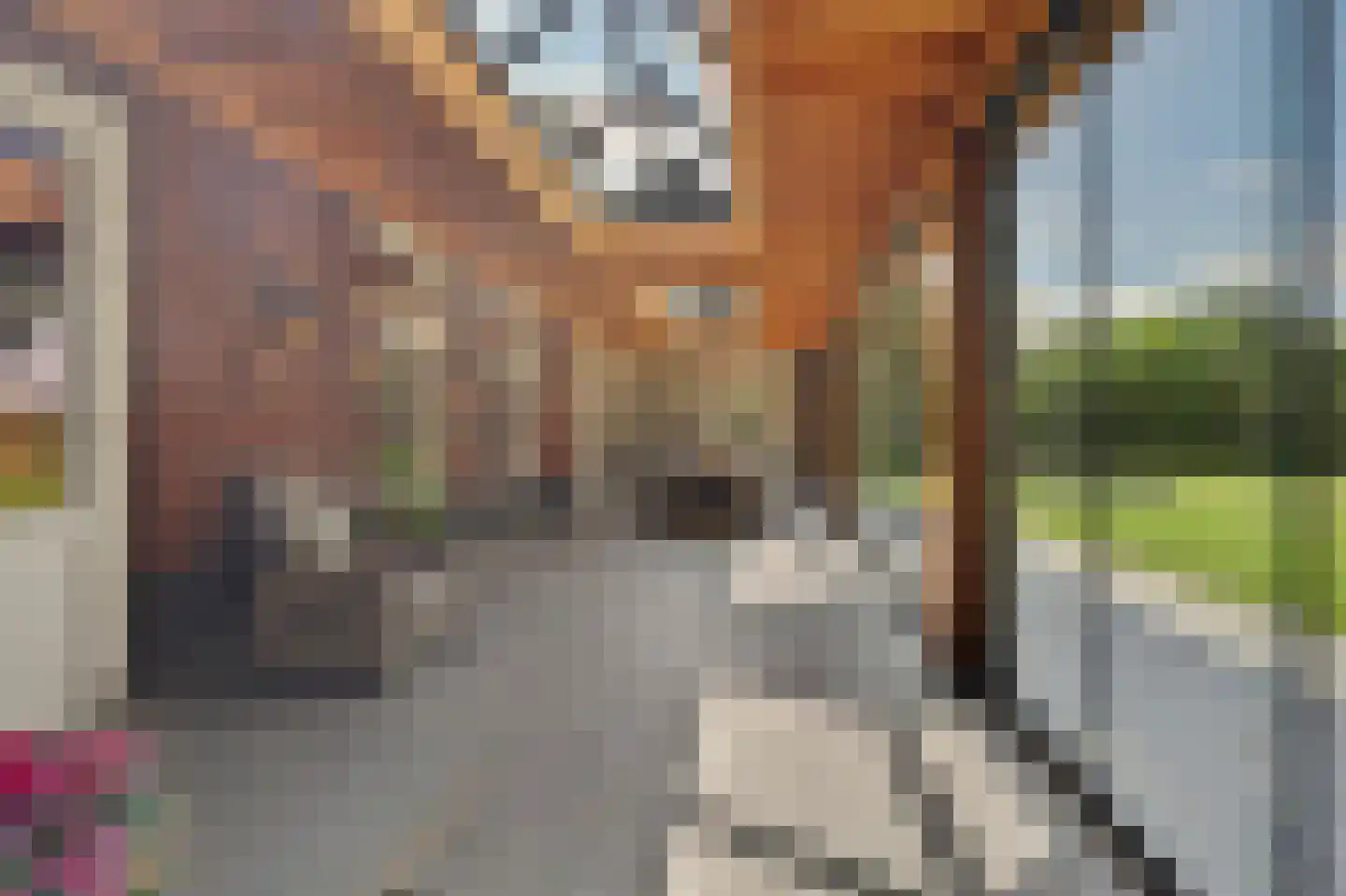 Dalem 2 A Hapert thumbnail 30