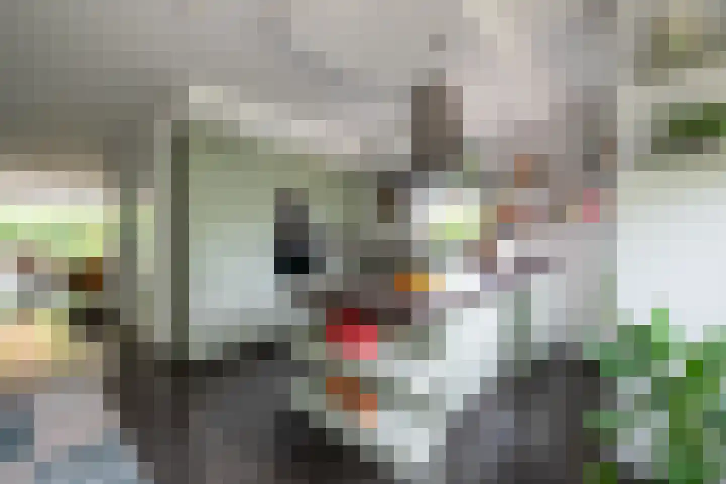 Dalem Donk 46 Gorinchem thumbnail 4