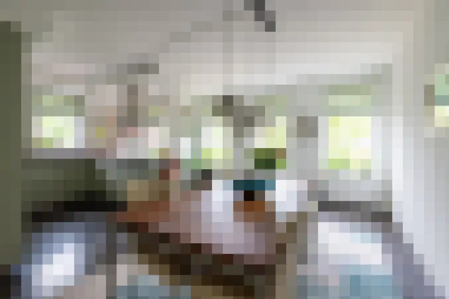 Dalem Donk 46 Gorinchem thumbnail 7