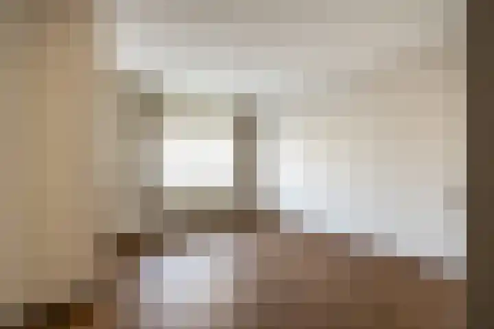Dalemhof 10 Tholen thumbnail 11