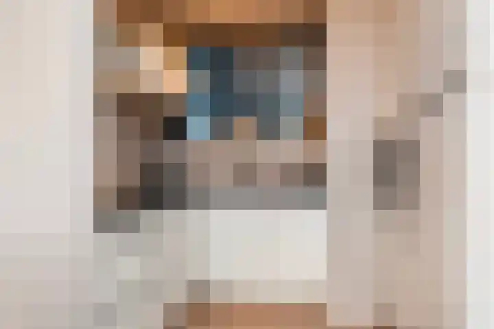 Dalemhof 10 Tholen thumbnail 14