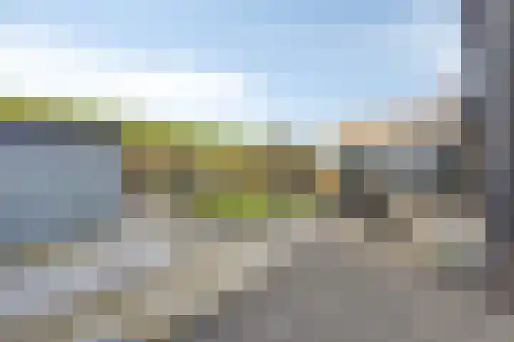 Dalemhof 10 Tholen thumbnail 17