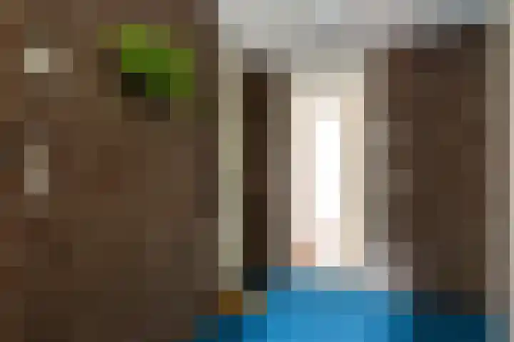 Dalemhof 10 Tholen thumbnail 17