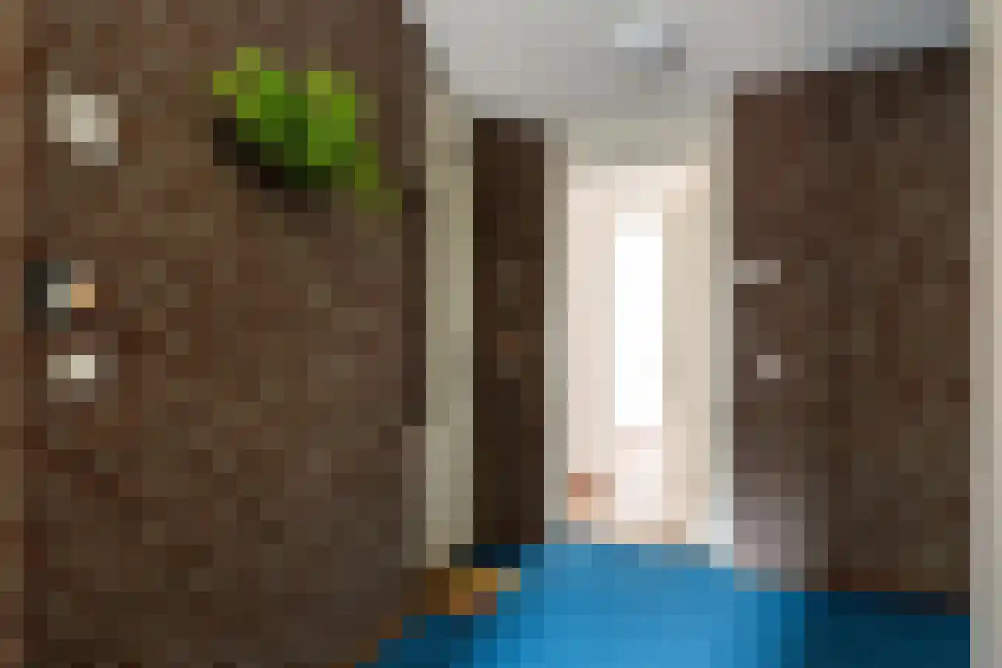 Dalemhof 10 Tholen thumbnail 17