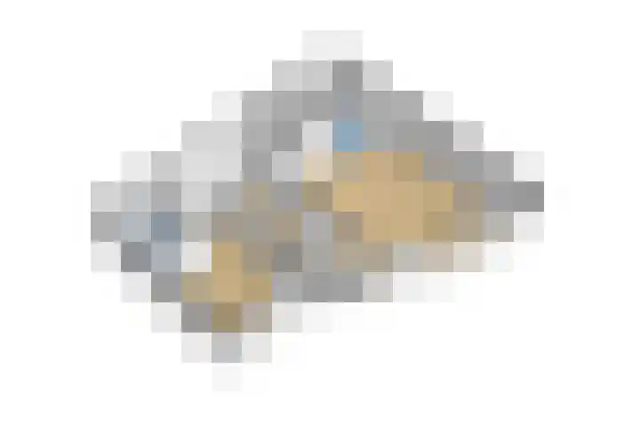 Dalemhof 10 Tholen thumbnail 24