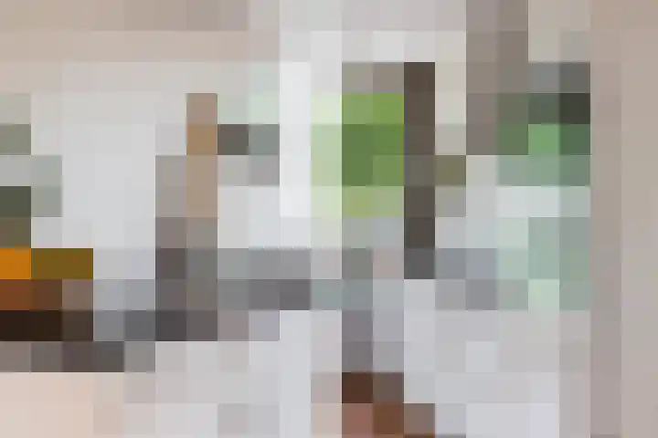 Dalemhof 10 Tholen thumbnail 25