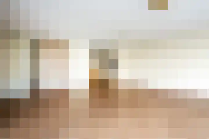 Dalemhof 10 Tholen thumbnail 7
