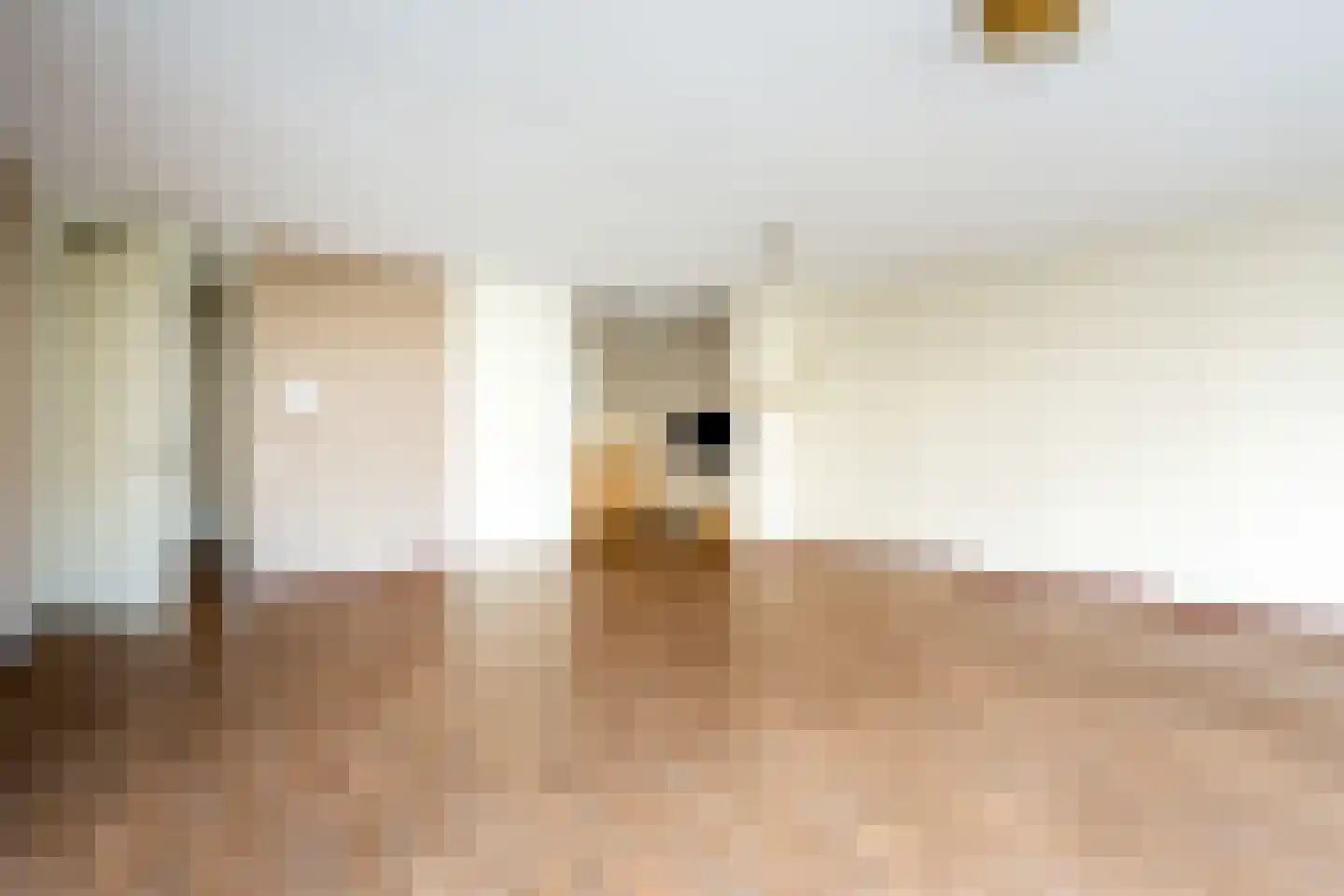 Dalemhof 10 Tholen thumbnail 7