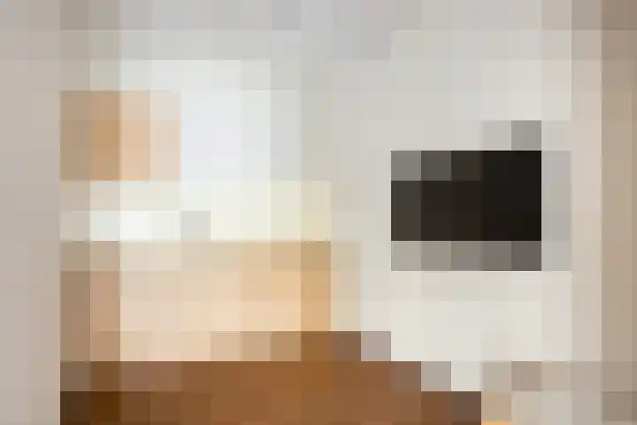 Dalemhof 10 Tholen thumbnail 8