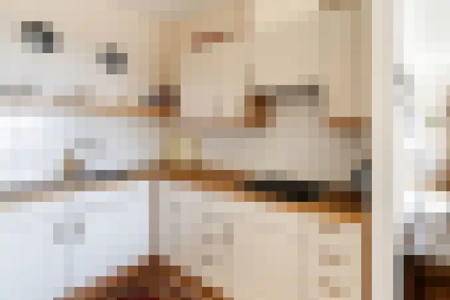 Dalemhof 22 Tholen thumbnail 18