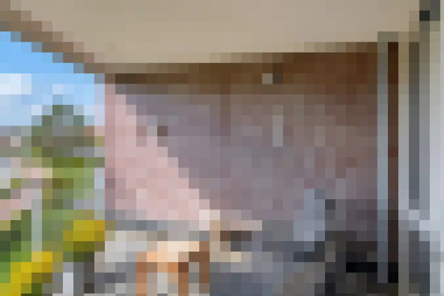 Dalemhof 22 Tholen thumbnail 19