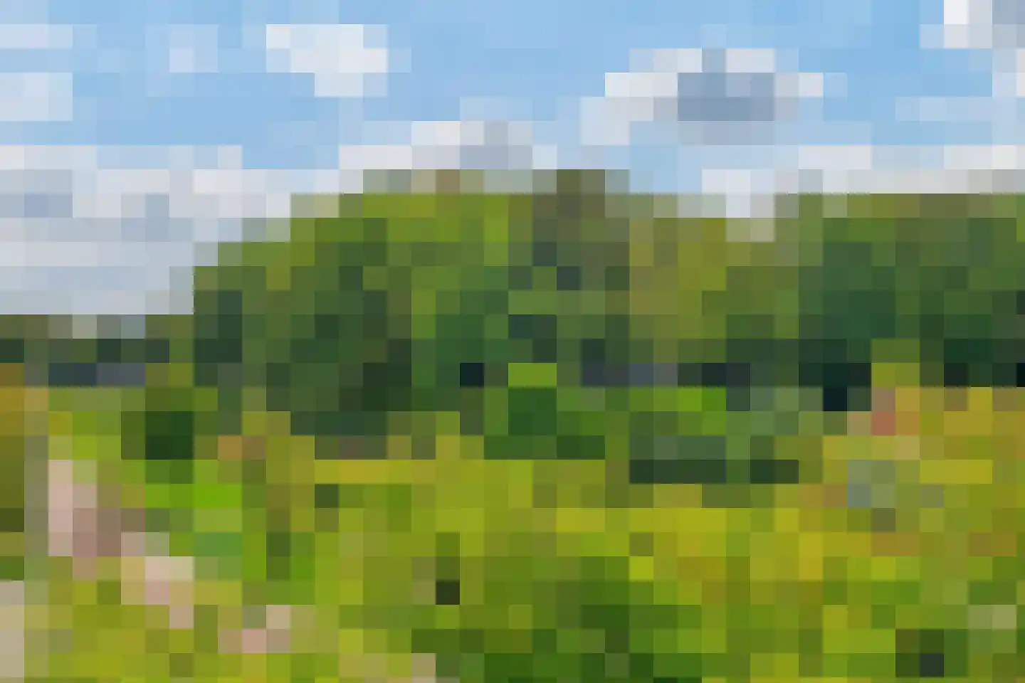 Dalemhof 22 Tholen thumbnail 21