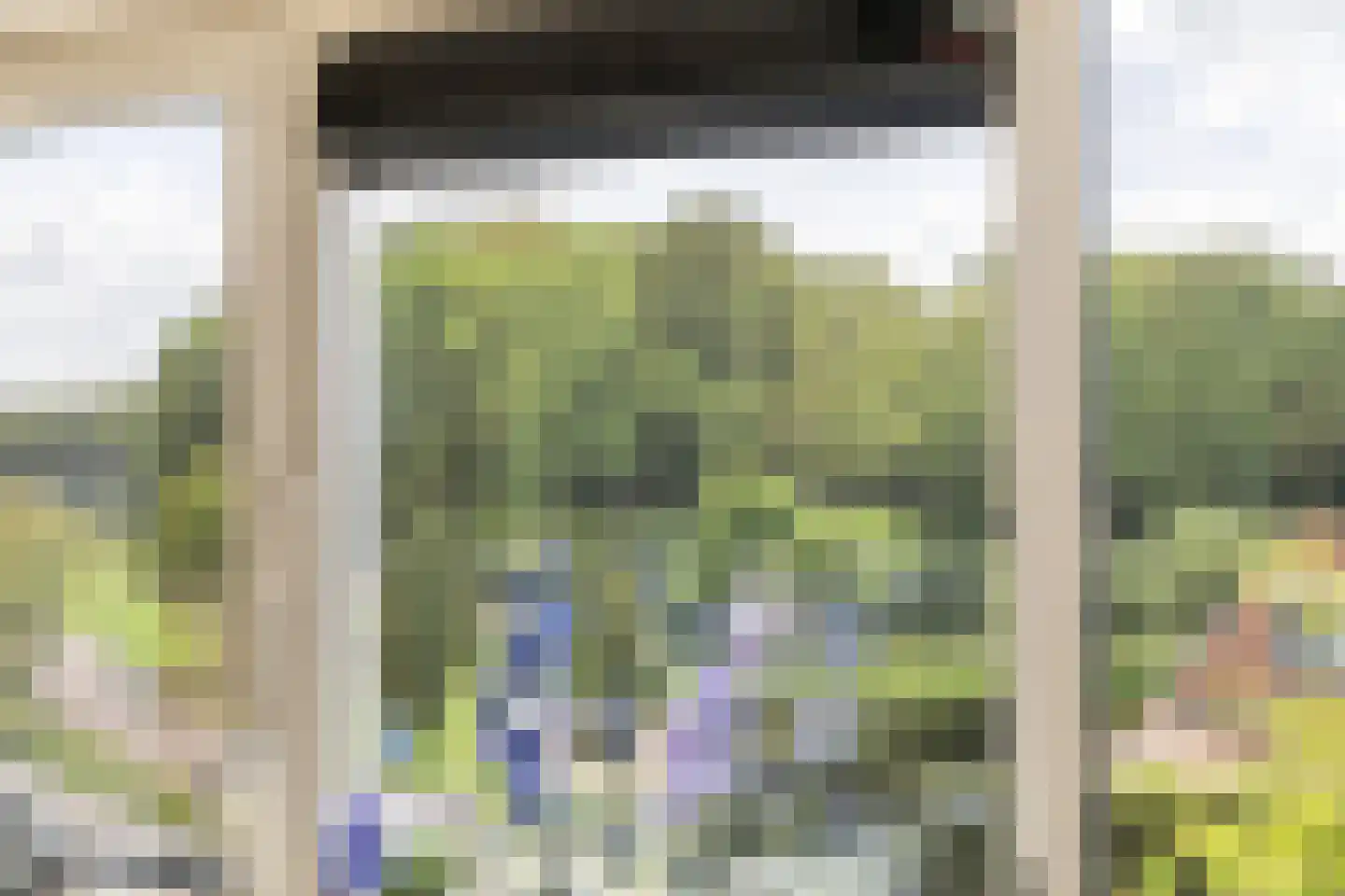 Dalemhof 22 Tholen thumbnail 22