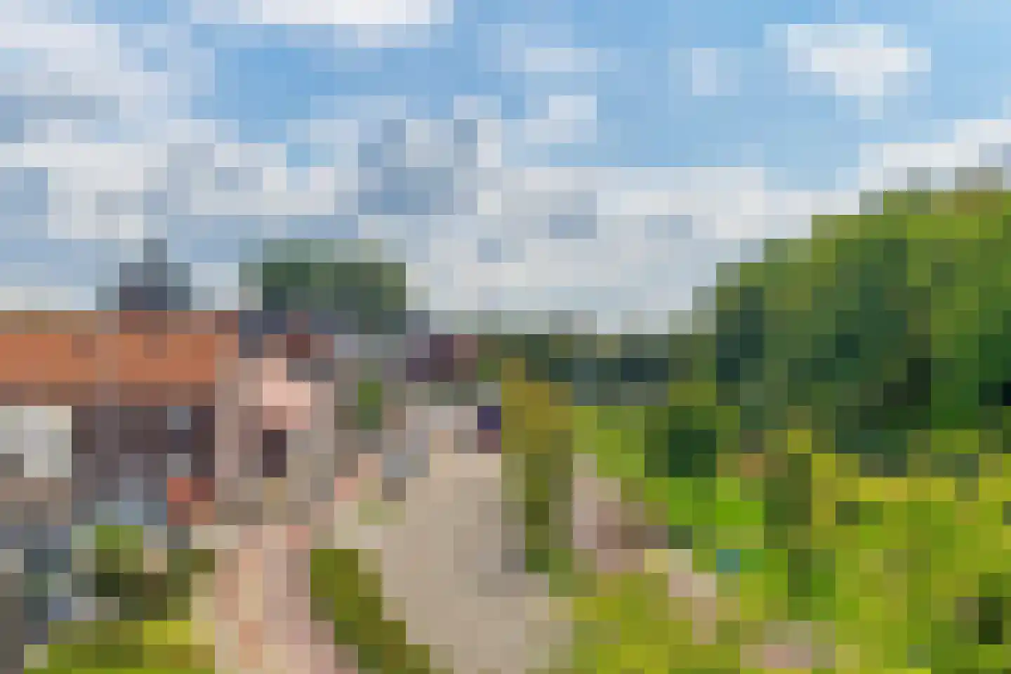Dalemhof 22 Tholen thumbnail 33