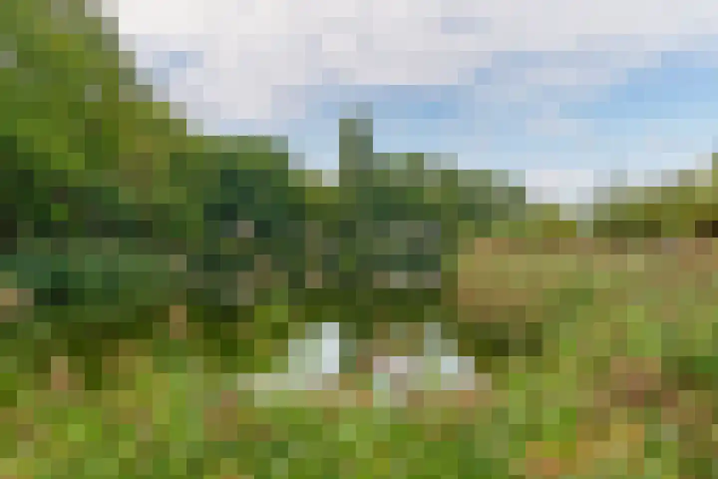 Dalemhof 22 Tholen thumbnail 34