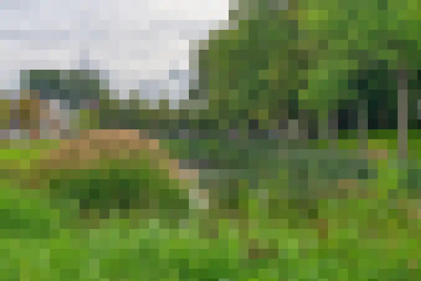 Dalemhof 22 Tholen thumbnail 35