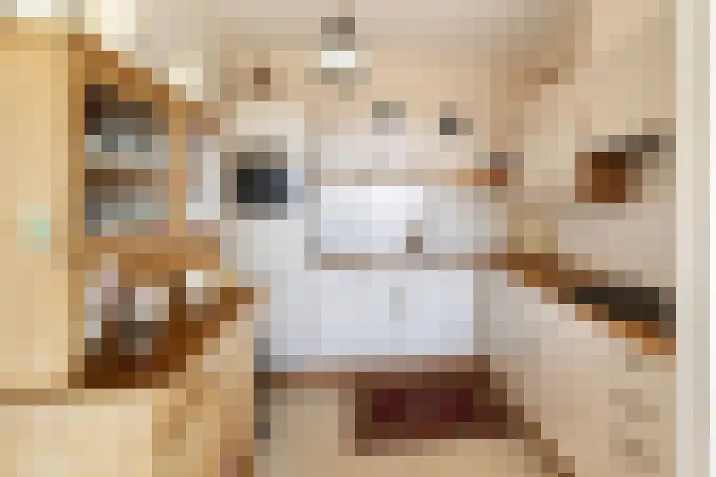 Dalemhof 22 Tholen thumbnail 5