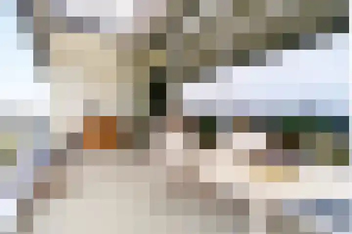 Dalempromenade 11 Tilburg thumbnail 17