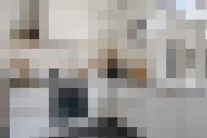 Dalemsestraat 16 Tholen thumbnail 21