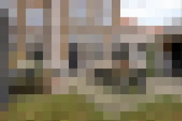 Dalemsestraat 16 Tholen thumbnail 29