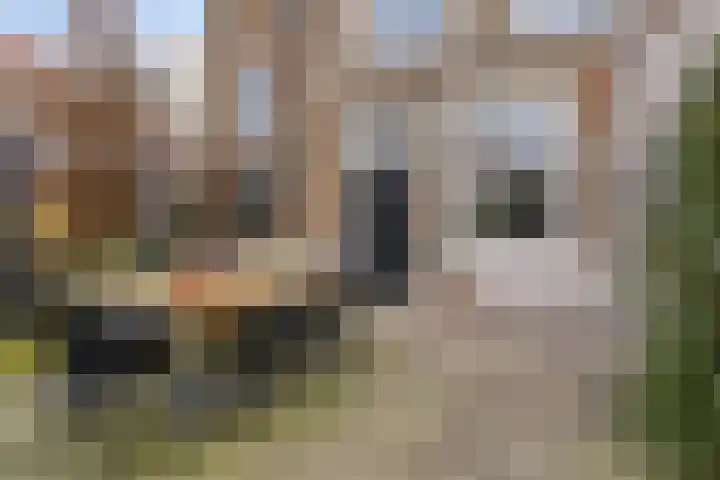 Dalemsestraat 16 Tholen thumbnail 30
