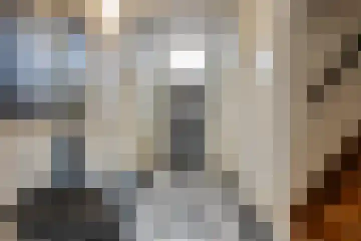 Dalemsestraat 16 Tholen thumbnail 8