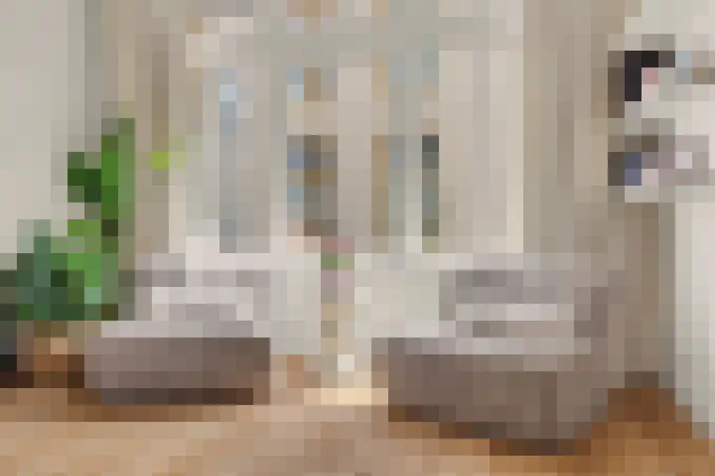 Dalemsestraat 19 Tholen thumbnail 11