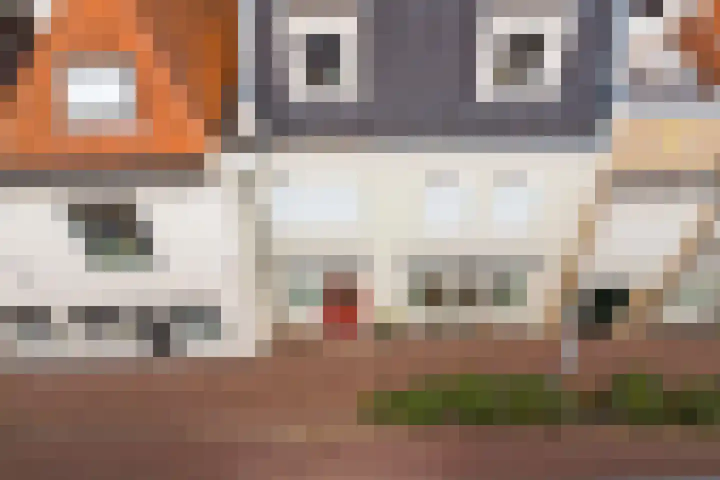 Dalemsestraat 19 Tholen thumbnail 24