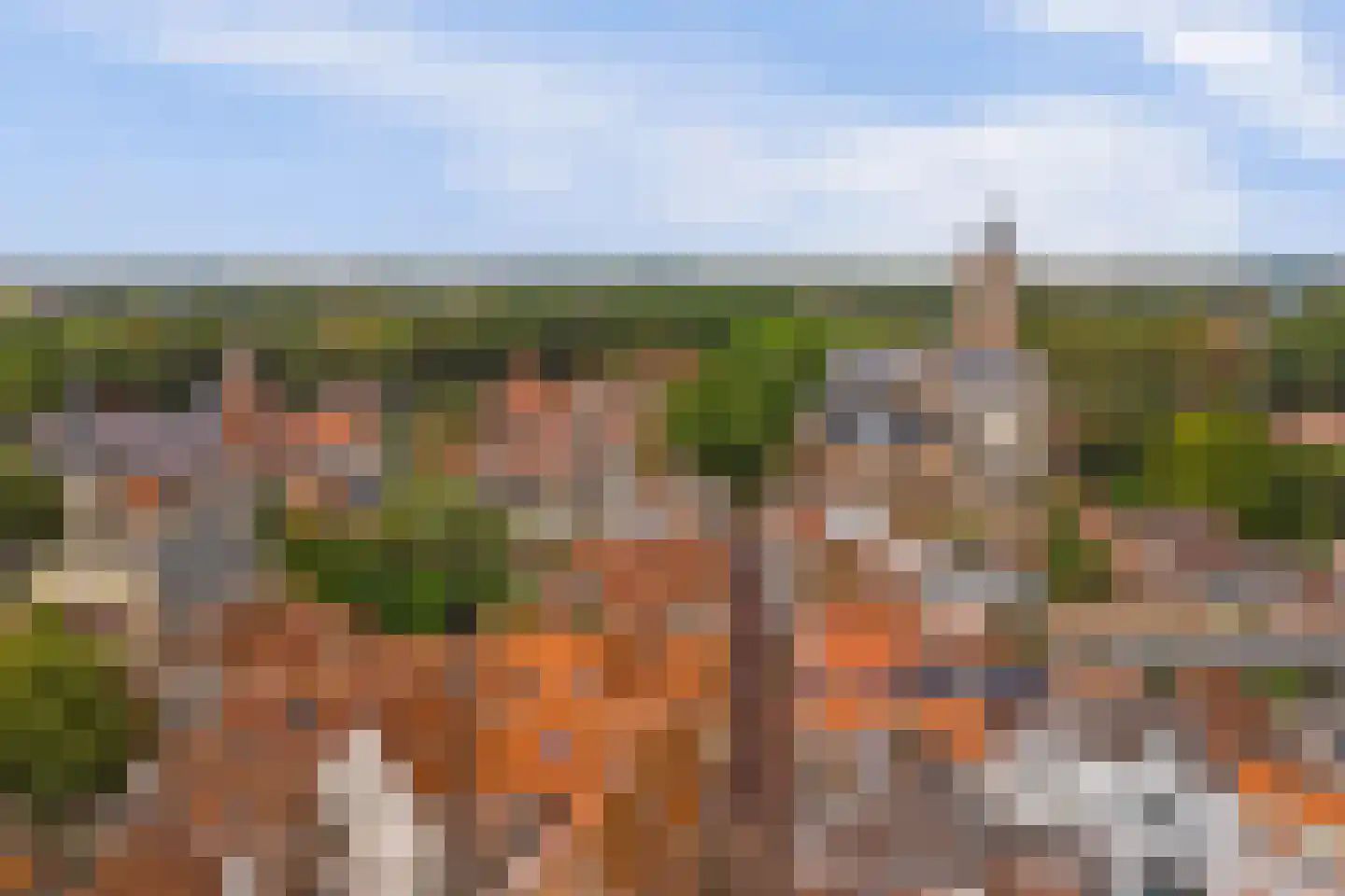 Dalemsestraat 19 Tholen thumbnail 26