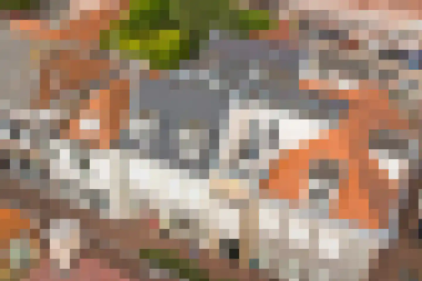 Dalemsestraat 19 Tholen thumbnail 31
