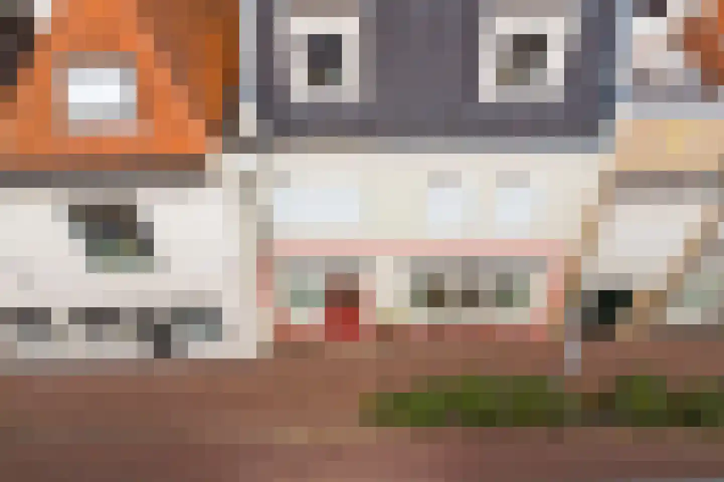 Dalemsestraat 19 Tholen thumbnail 33