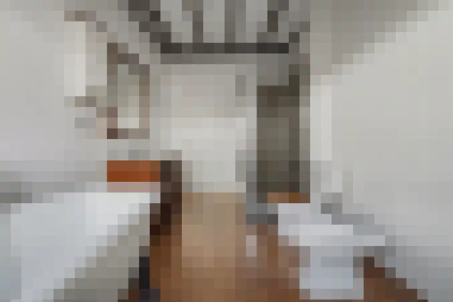 Dalemsestraat 20 Tholen thumbnail 29