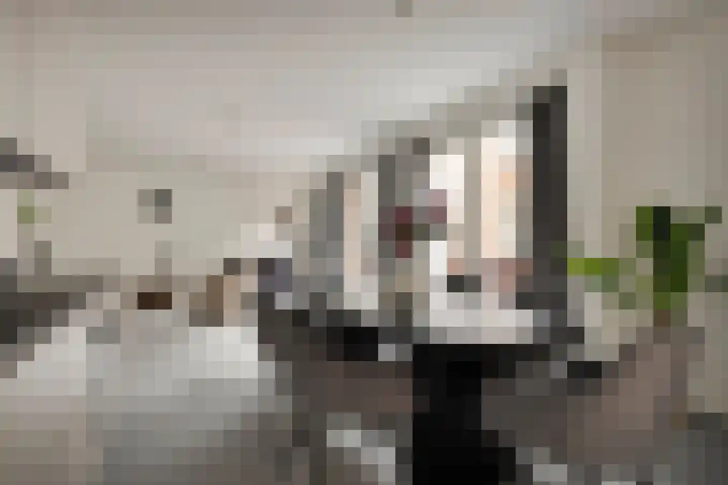Dalemsestraat 25 a Tholen thumbnail 15