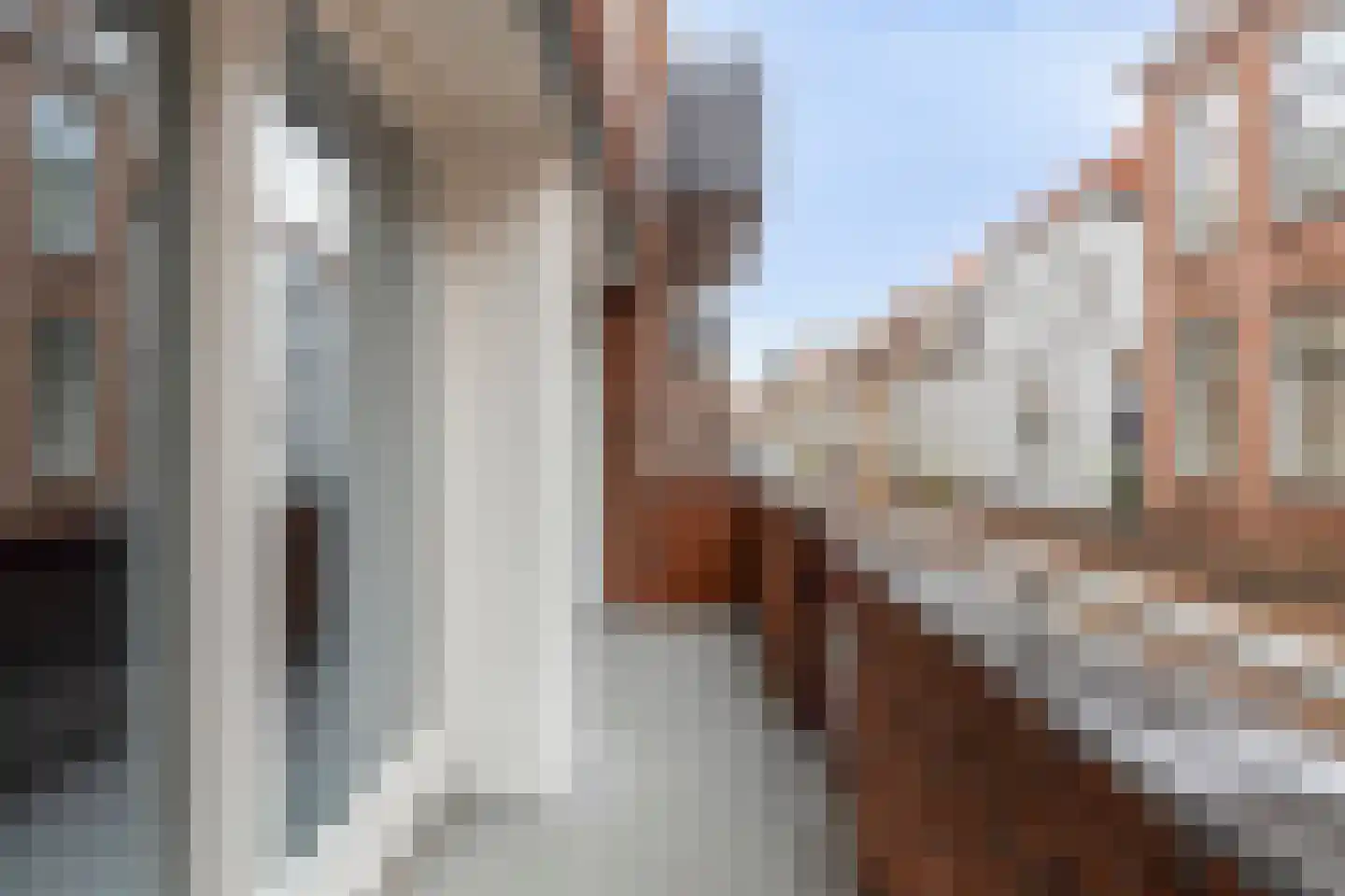 Dalemsestraat 25 a Tholen thumbnail 21