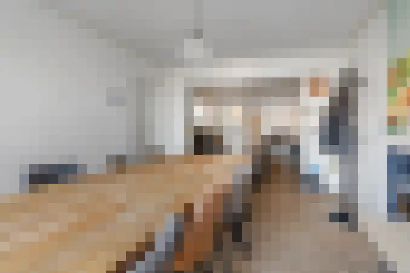 Dalemsestraat 31 Tholen thumbnail 13