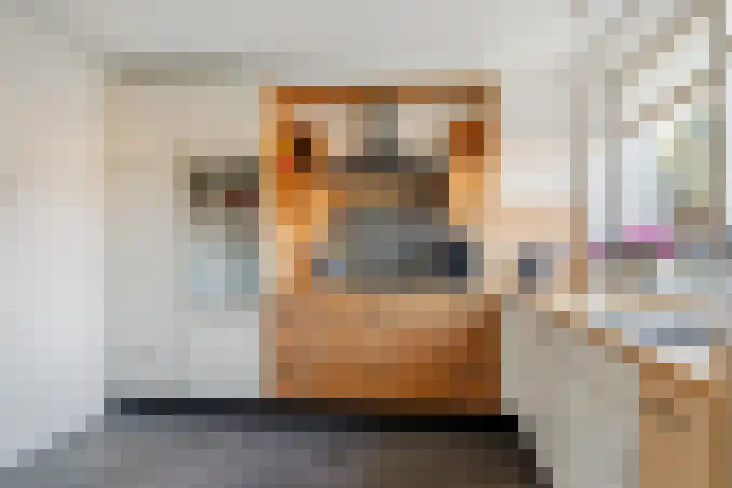 Dalemsestraat 31 Tholen thumbnail 17