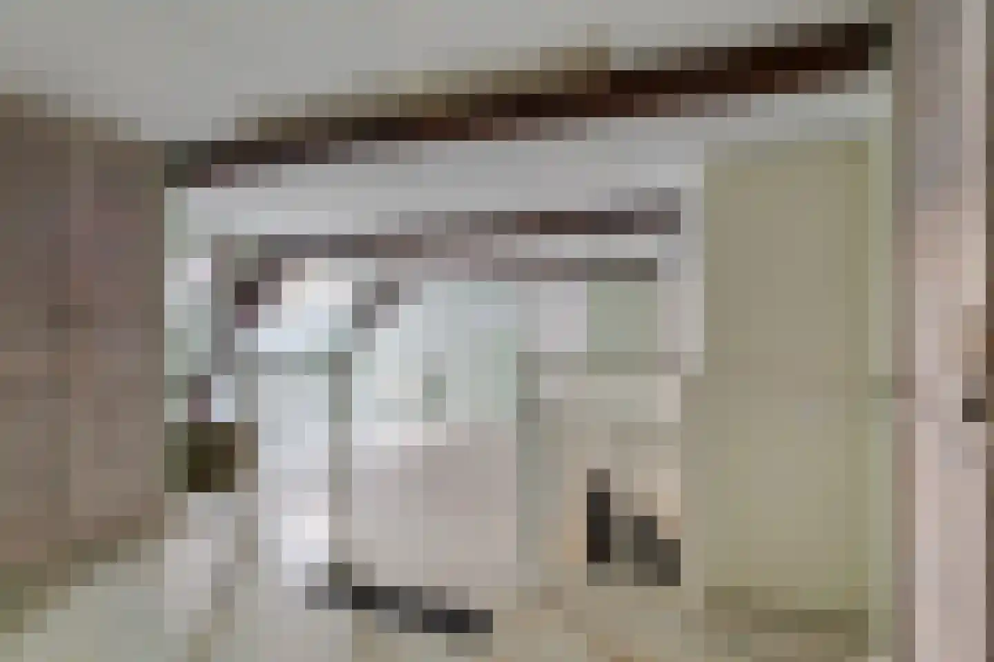 Dalemsestraat 31 Tholen thumbnail 21