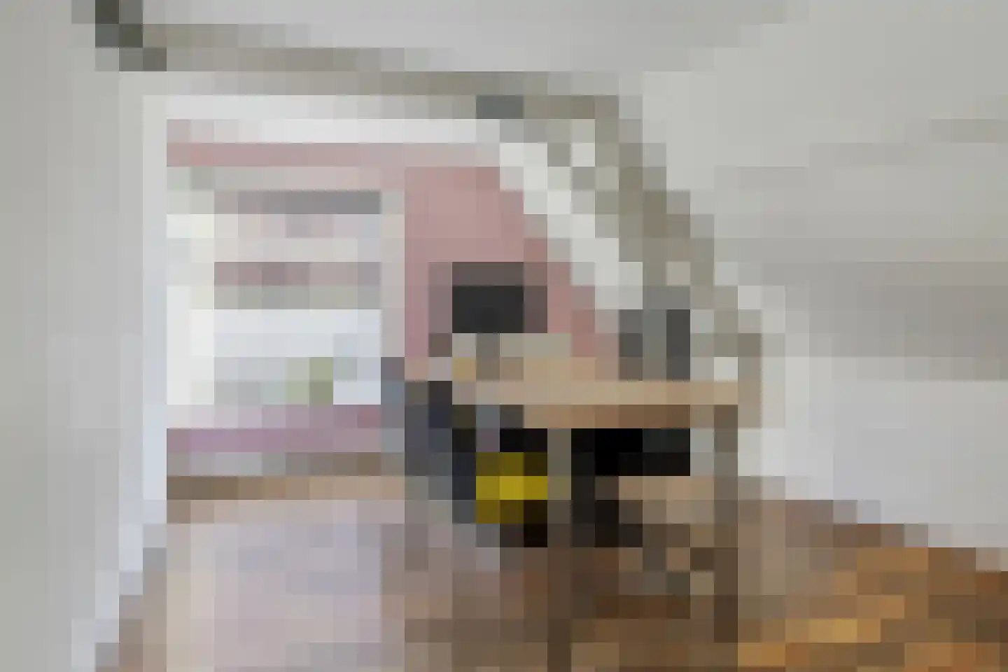 Dalemsestraat 31 Tholen thumbnail 27