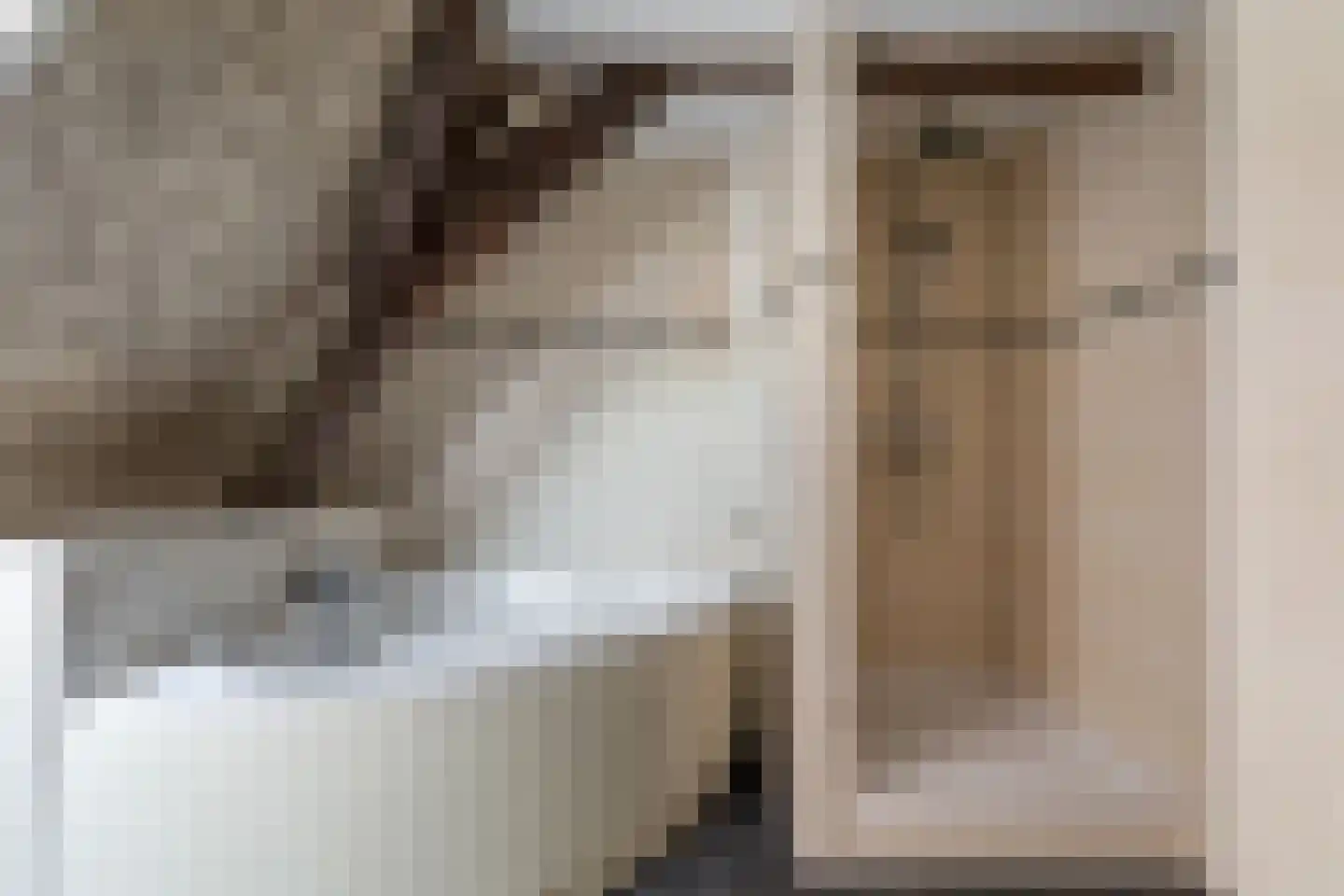 Dalemsestraat 31 Tholen thumbnail 30