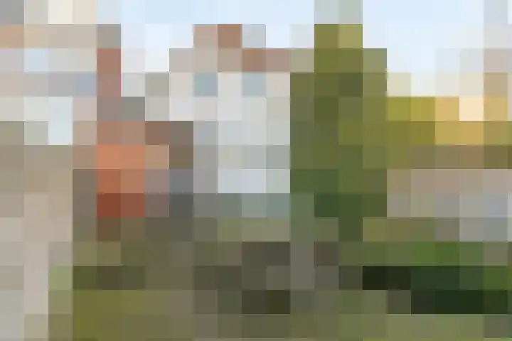 Dalemsestraat 31 Tholen thumbnail 32