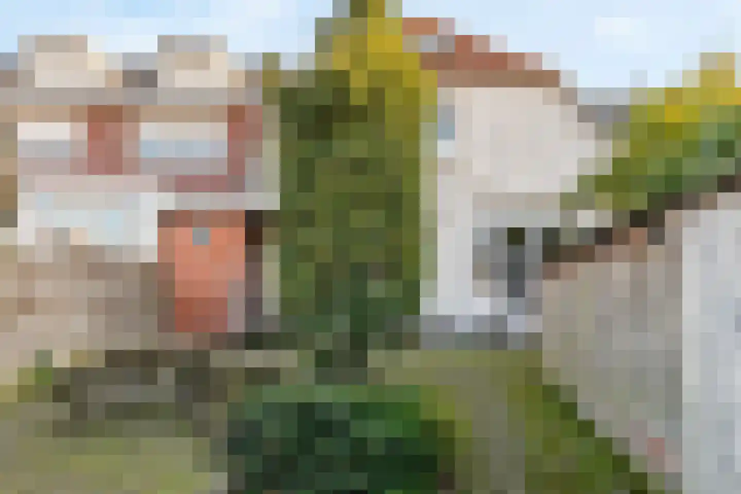 Dalemsestraat 31 Tholen thumbnail 33