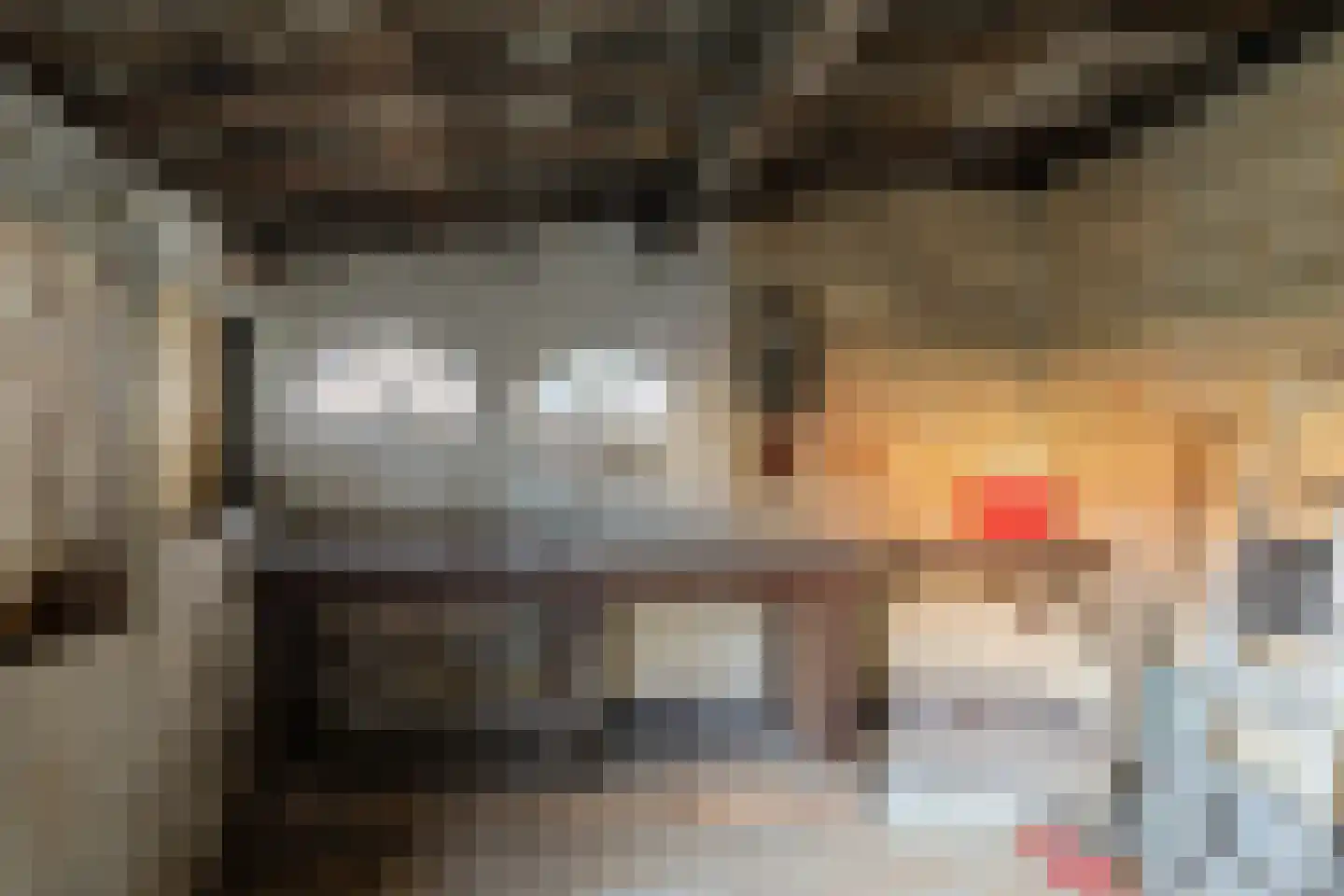 Dalemsestraat 31 Tholen thumbnail 34