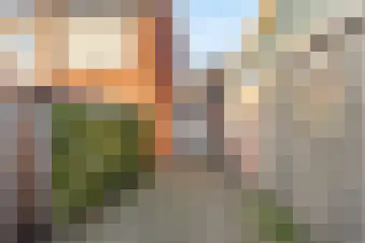 Dalemsestraat 31 Tholen thumbnail 36