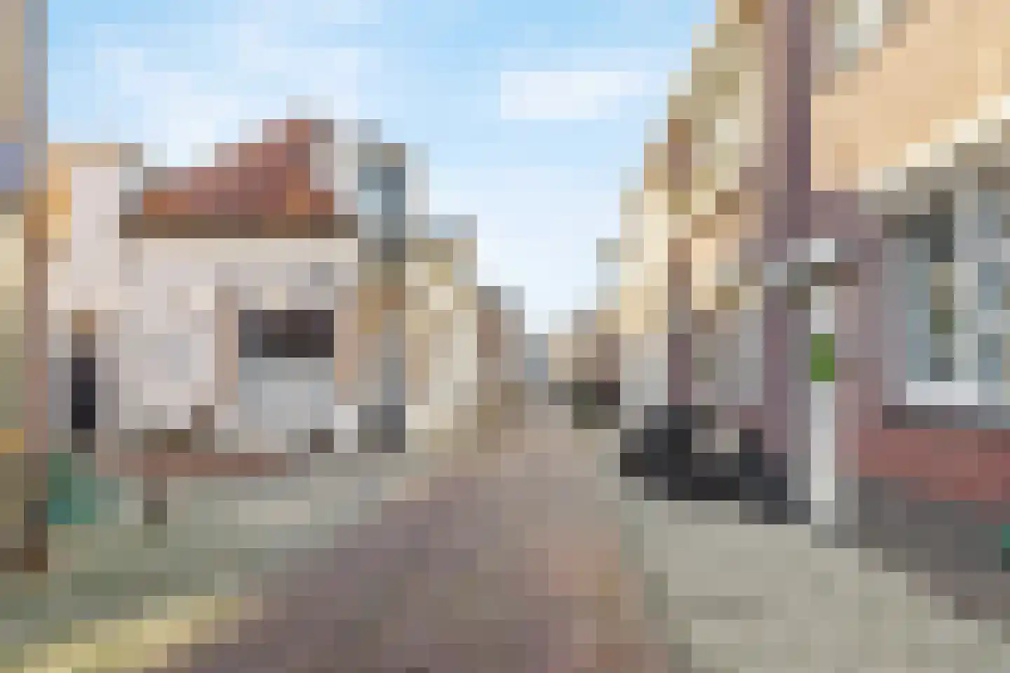 Dalemsestraat 31 Tholen thumbnail 38