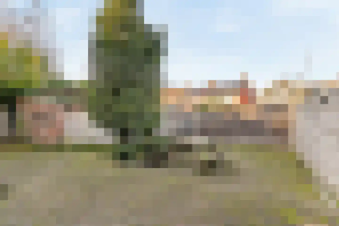 Dalemsestraat 31 Tholen thumbnail 5