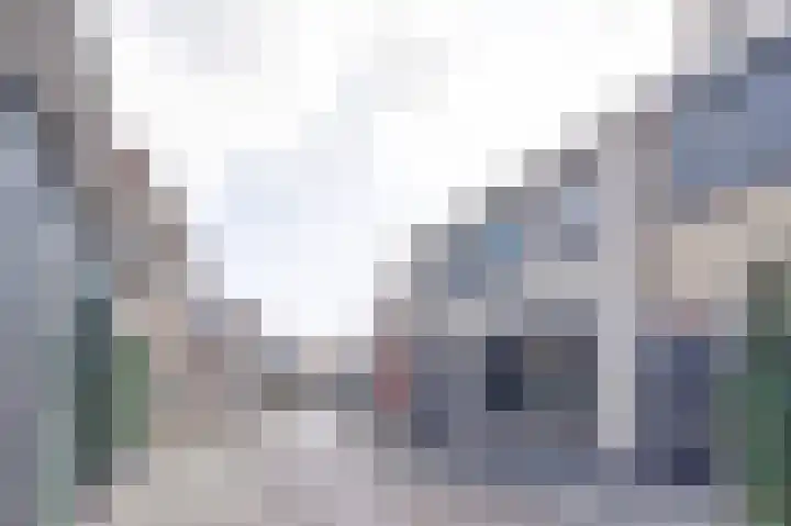 Dalemsestraat 42 Tholen thumbnail 27