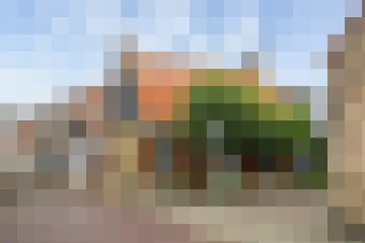Dalemsestraat 63 Tholen thumbnail 34
